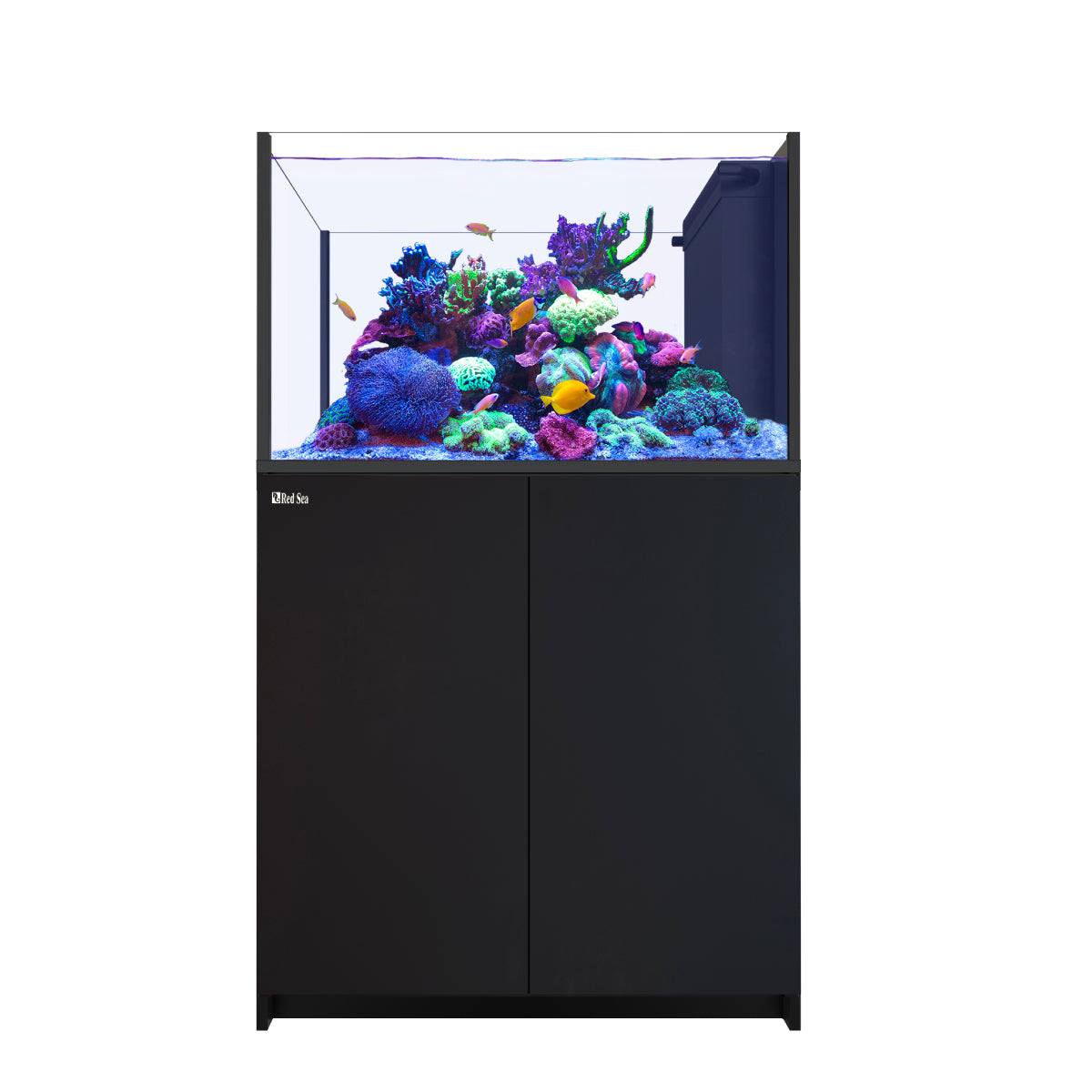 Red Sea Reefer Peninsula G2+ 350 Aquarium (Black) – Charterhouse